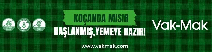 Vakmak